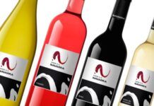 Vinos de Navarra y pintxos son «los frescos del verano»
