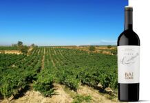 La Quintanilla de Baigorri, viñedo singular