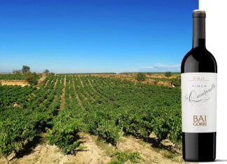 La Quintanilla de Baigorri, viñedo singular