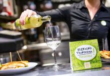 Música, cine, pintxos entre viñedos de txakolí