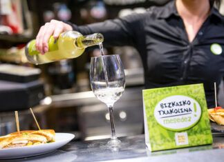 Música, cine, pintxos entre viñedos de txakolí