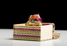La Semana del Pintxo de Álava abre el octubre gastronómico