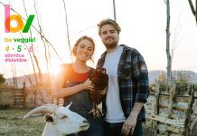 El festival vegano Be Veggie 2021 se anuncia para diciembre en Irun