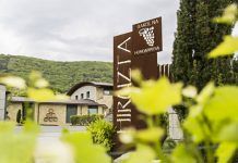 Txakolis Hiruzta de Hondarribia, vinos excelentes en la guía Peñín