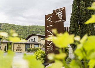 Txakolis Hiruzta de Hondarribia, vinos excelentes en la guía Peñín