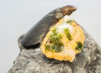 Los consumidores son el Jurado en el Campeonato de Bizkaia de Pintxos