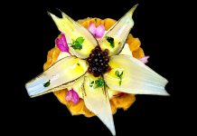 Tudela busca el mejor pintxo de verduras 2024