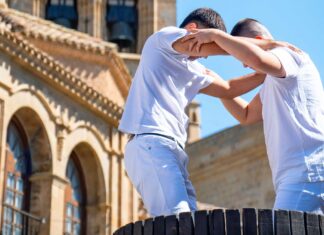 Olite celebró la fiesta de la vendimia de Navarra